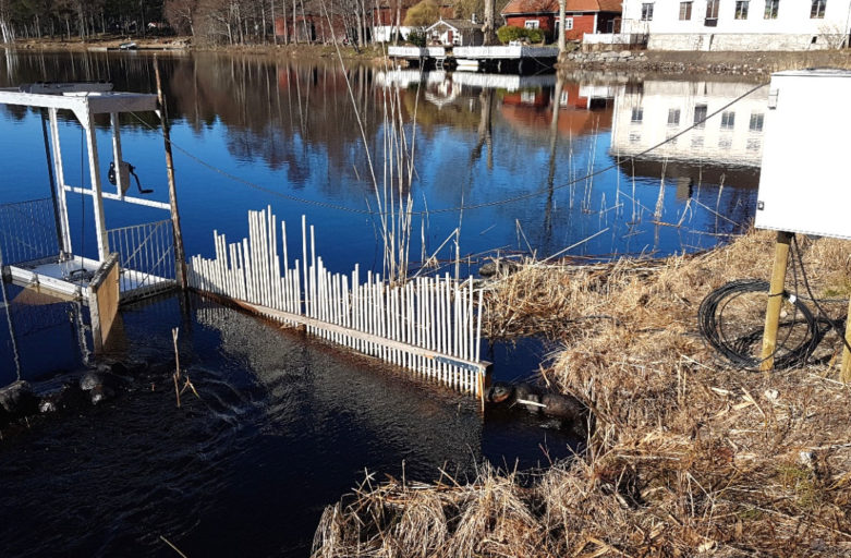 Fiskräknaren vid Hillevik, Björkeån