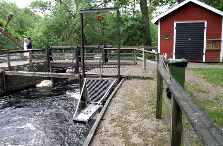 Fiskräknare Mörrumsån